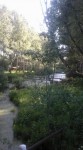 Территория Музея зодчества в Костроме