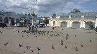 Дети кормят голубей в Костроме